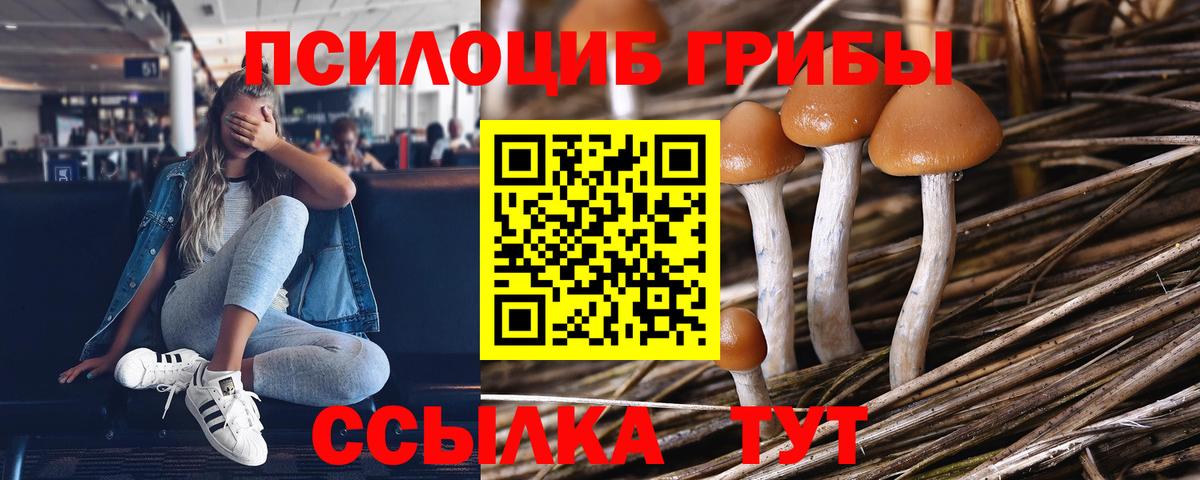 Галлюциногенные грибы Cubensis Чехов